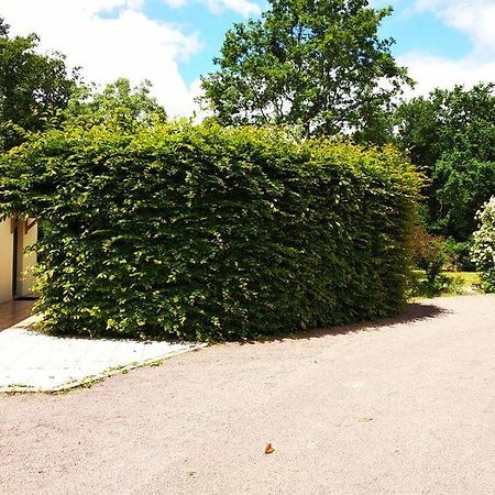 Gîte 2 personnes, proche mer Challans Extérieur photo